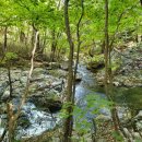 신림면 행정복지센터 이미지