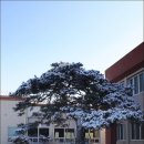 각남면사무소 이미지