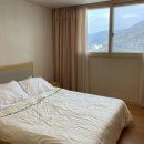 그린피아 이미지