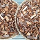 약나무마실 이미지