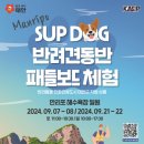 태안군, ‘태안 서프 독(SUP DOG)’ 프로그램 운영(서산태안TV) 이미지