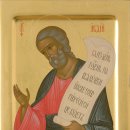 오바이오 이미지