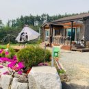 마이산뜰아래 네이버블로그