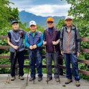 우면산5-2 이미지