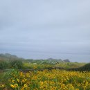 제주도 성산일출봉 아이와 가기 좋은 식당 성산바다풍경 방문 후기