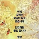 가림님 안녕하세요^^ 이미지