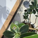 무인양품 파트타이머 (PTS) 아르바이트 후기 ♬ | 무인양품 아르바이트 | MUJI 채용 | 무인양품 MUJI...