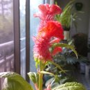 구월1동-17 이미지