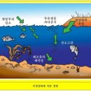 보길면-1 | 四字成語 총정리 <ㅂ> 454 부영양호~부운부귀