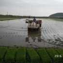 청솔농장 이미지