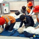 서울선유초등학교 이미지