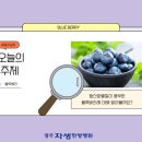 운천한방병원 이미지