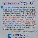 [부산벽화]벽화와 문화를 품은 ﻿부산 대신동 닥밭골 벽화마을과 북카페 이미지