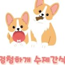 멍청하개 이미지