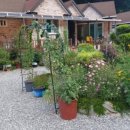 장태산 산그림펜션 이미지