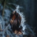 오븐구이 이미지