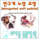 지성동물병원 이미지