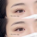 용신로 394 네이버블로그
