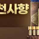 영모개발