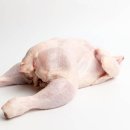 군산닭집 네이버블로그