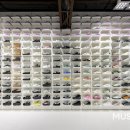 대림태권도 이미지