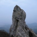 땅끝 남도의 향기 Daum카페