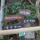 땅끝마을홍어 이미지