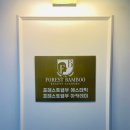 [강서구등관리] 포레스트뱀부에스테틱 본점 등관리 후기