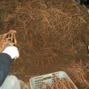 감치농장 이미지