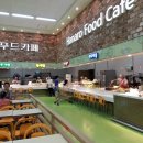 하나로푸드 티스토리