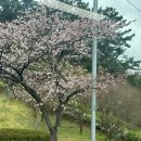 삼익제과 네이버블로그