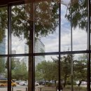 스타벅스커피 부민사거리점 | 스타벅스 강서구청사거리점 ㅣ매장 정보 주차 / 베르가못 콜드브루 후기