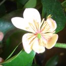 규화농장 이미지