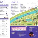 유성 국화축제 이미지