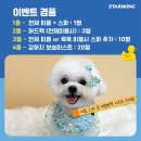 한결강아지미용실 이미지