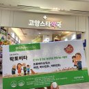 팜스타약국 이미지