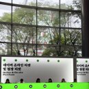 커트매니아오후 | 서울국제도서전 2026 | 아무튼 4년째 도서전 출석 중 (아무것도 안 산 건 이번이 처음인가)