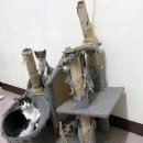 우리타워 이미지