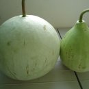 대박이네 이미지