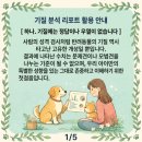 멍분의 멍 | 멍비티아이 검사 후기 프래들 애견학교 강아지 성격 분석