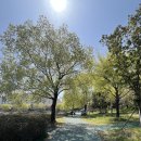 양산 호수 공원 산책 후기 🌿 광주 도심 속 힐링 명소
