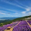 제131차정기산행거창감악산 이미지
