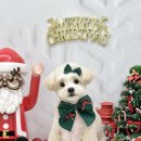 윈썸그루밍 이미지