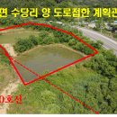 매물번호:1000-148,운산면 수당리 계획관리지역 면적1,030㎡(약311평)매가3.3㎡26만원 이미지