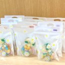 더푸르네유치원 이미지