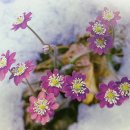 봉수면사무소 이미지