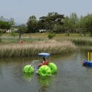 갯벌생태 체험장 이미지