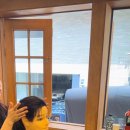 애니띵벗베이직 이미지