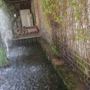 삼악산호수케이블카 이미지