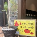 카페서행 이미지